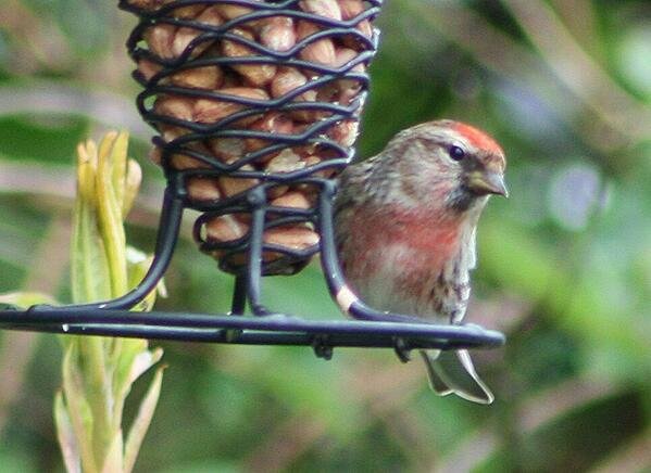 Sneem Co Kerry Ireland